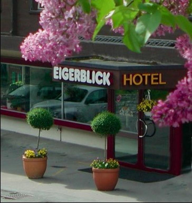 Hotel Eigerblick Гриндельвальд Экстерьер фото