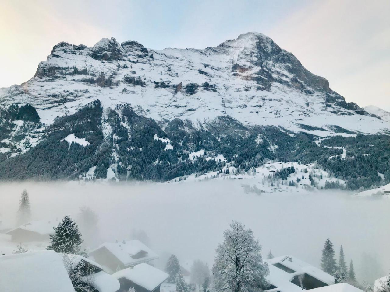 Hotel Eigerblick Гриндельвальд Экстерьер фото